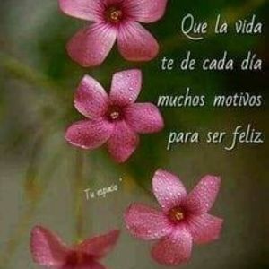 Meet your Posher, Coral